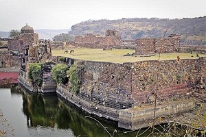 Ranthambore Fort Inside