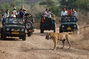 Ranthambore Zone